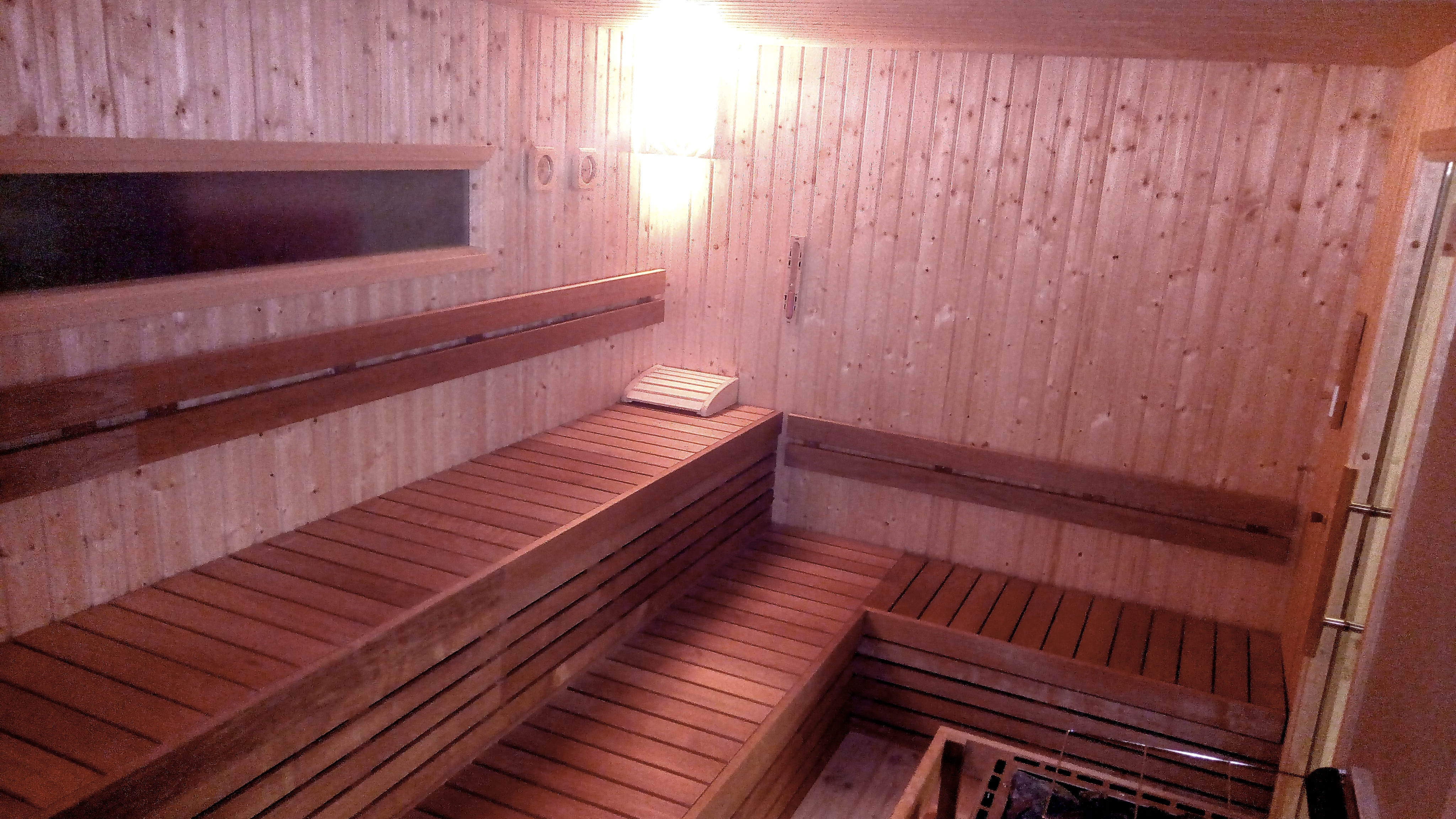 sauna palestra